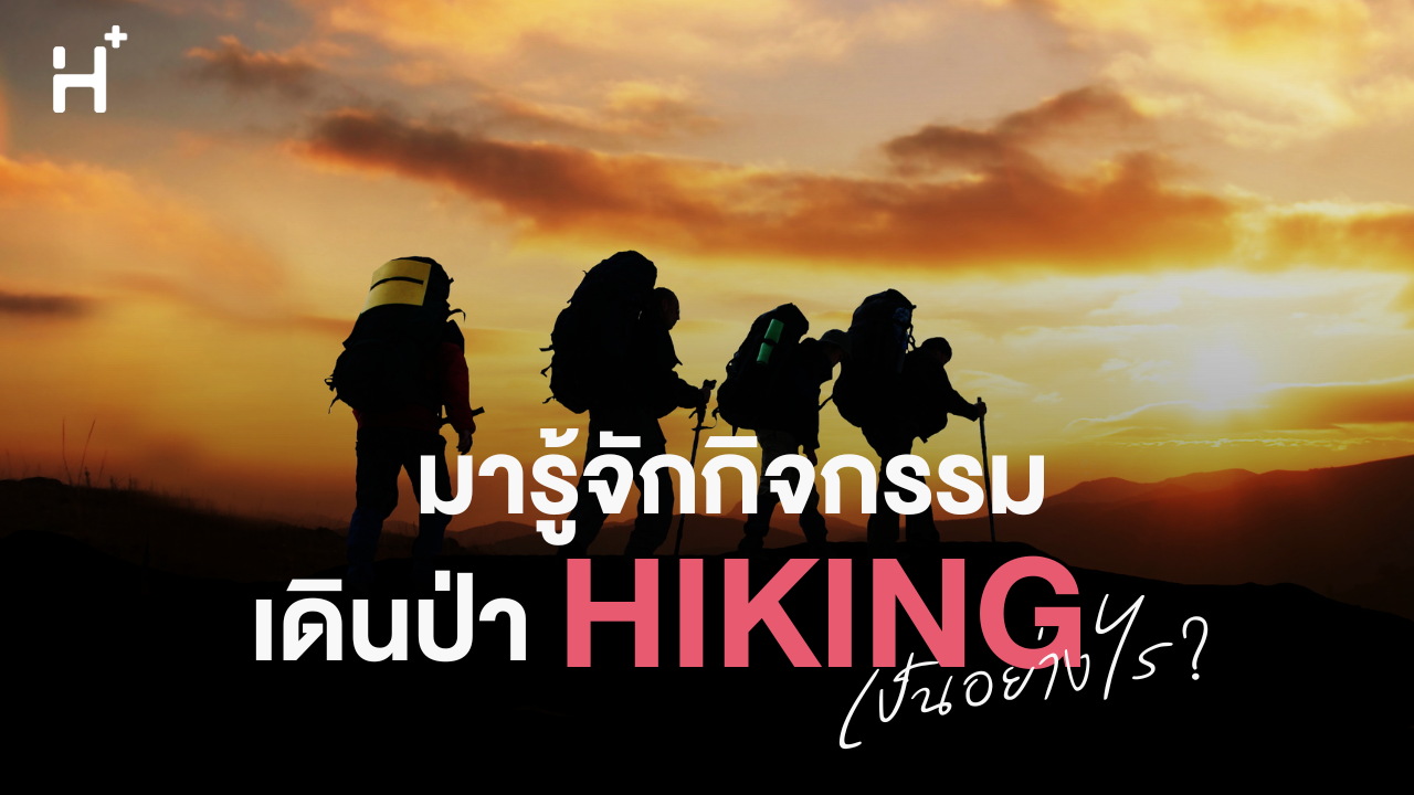 มารู้จักกิจกรรม เดินป่า Hiking เป็นอย่างไร
