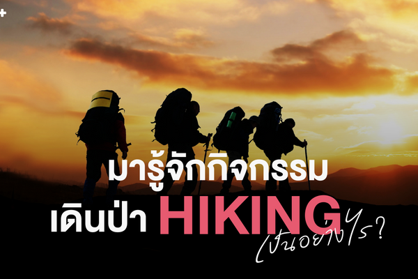 มารู้จักกิจกรรม เดินป่า Hiking เป็นอย่างไร